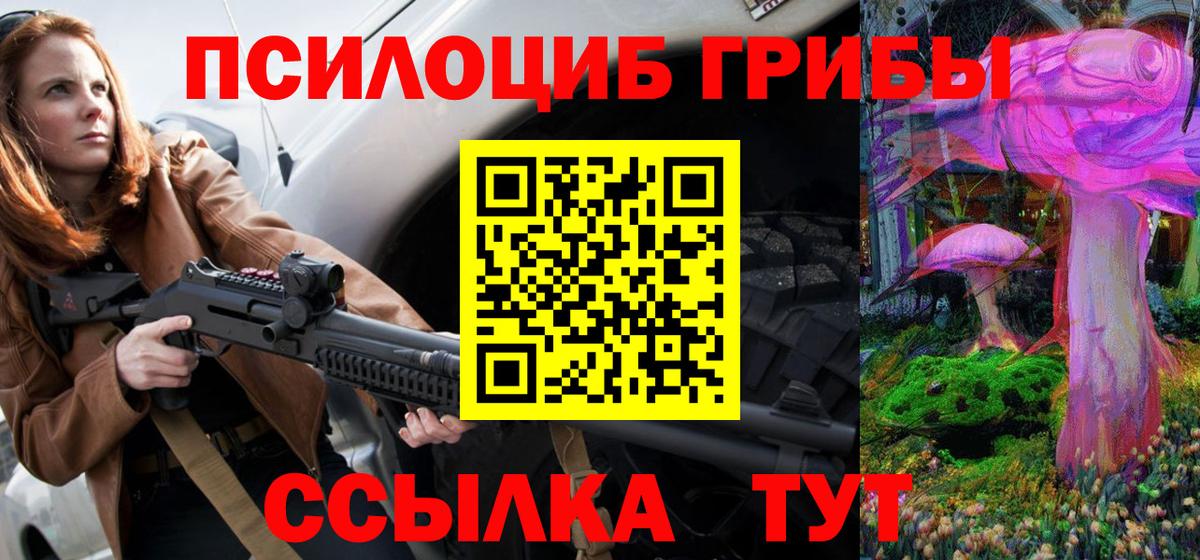 Галлюциногенные грибы Psilocybe Красноуфимск